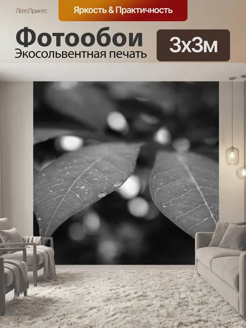Фотообои Листья