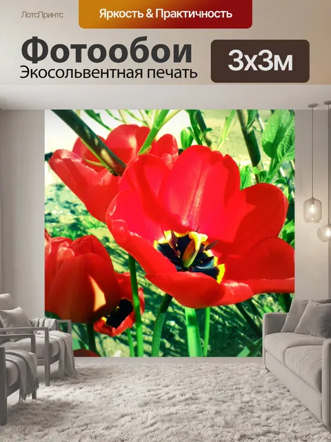 Фотообои Красные тюльпаны