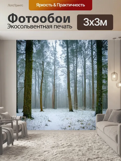 Фотообои условия зимнего утра в лесу