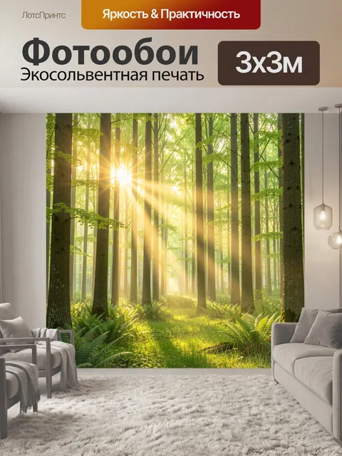 Фотообои Солнечный лес с папоротниками