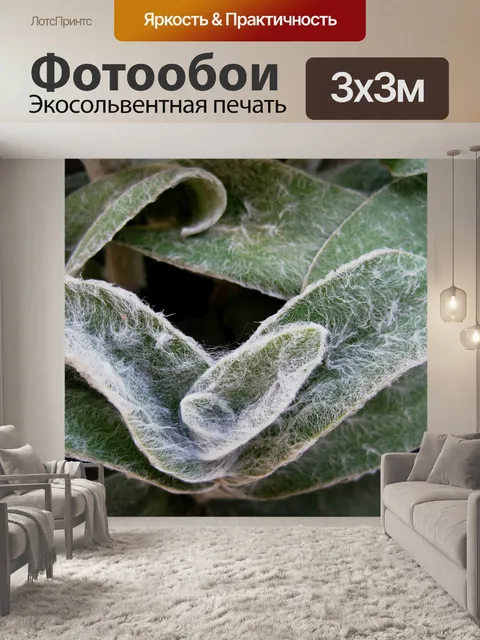 Фотообои Чистец византийский