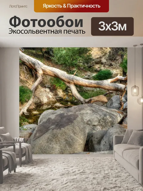 Фотообои Падшее дерево