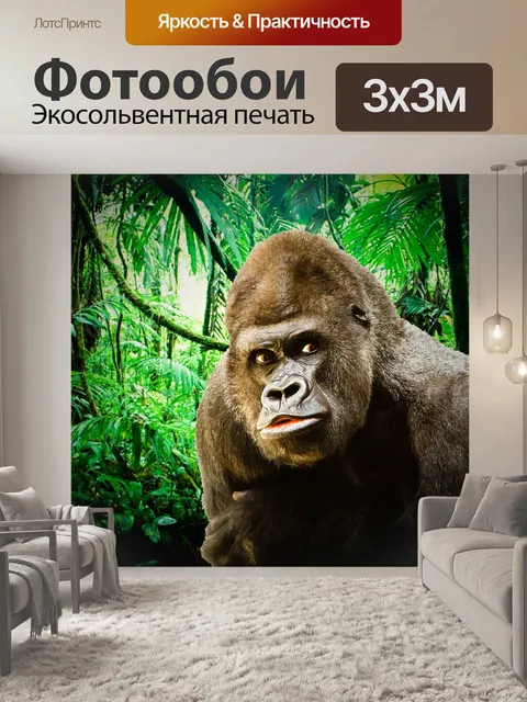 Фотообои горилла
