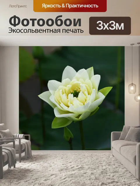 Фотообои Золотой лотос