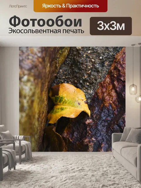 Фотообои Влажные Рок Текстура