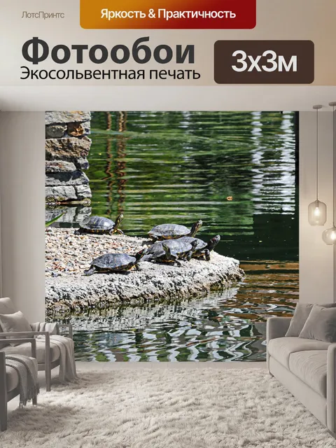 Фотообои Группа черепах по воде