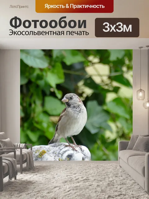 Фотообои Птица