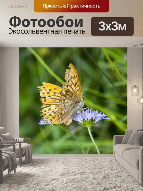 Фотообои Желтая бабочка