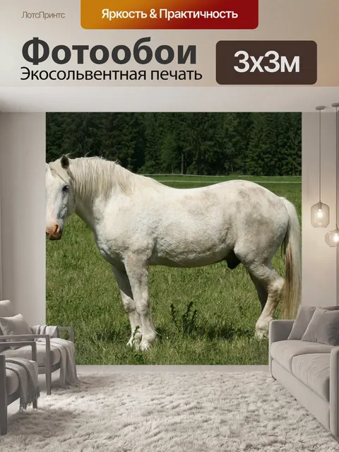 Фотообои Белая лошадь