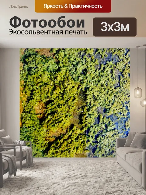 Фотообои Фон зеленых водорослей