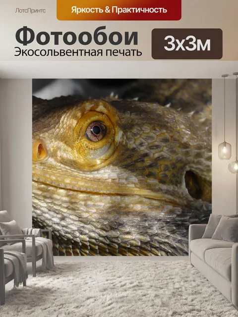 Фотообои Бородатый дракон