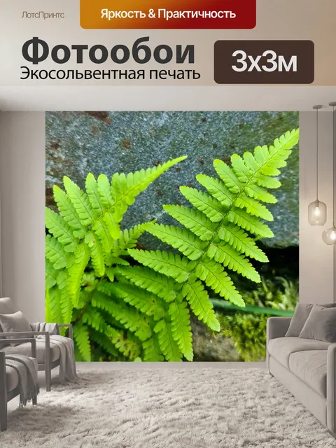 Фотообои Зеленый лист папоротника