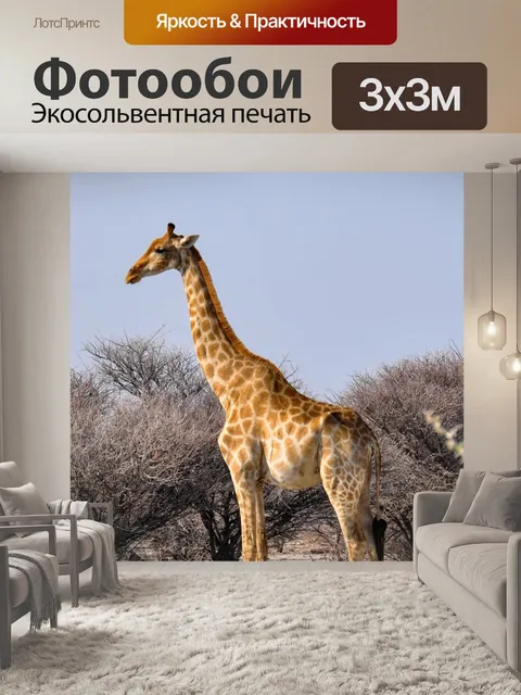 Фотообои Жирафа