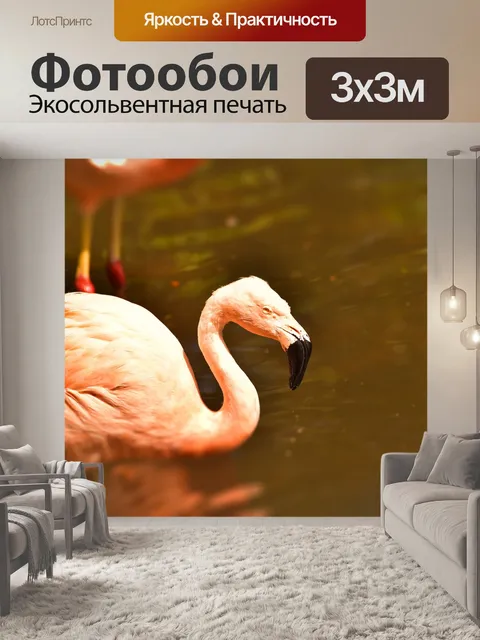 Фотообои Фламинго