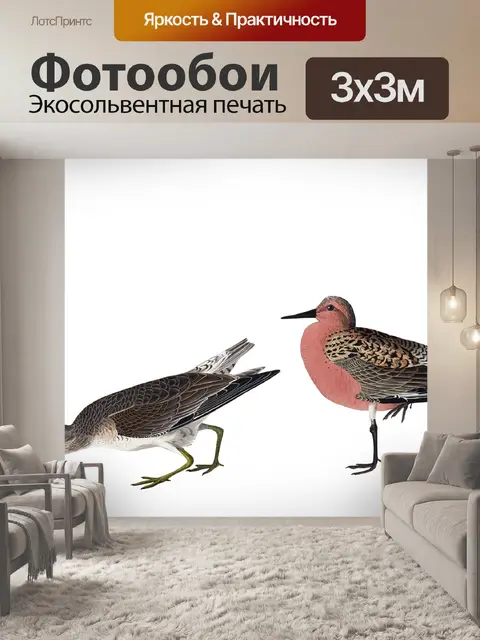 Фотообои Песочница Птицы Винтажная живопись