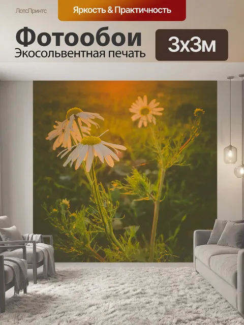 Фотообои Ромашки на закате