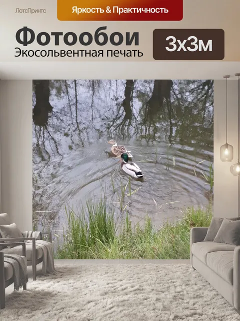 Фотообои Утрехт