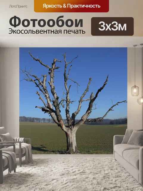 Фотообои Зима