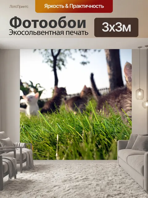Фотообои Кошка