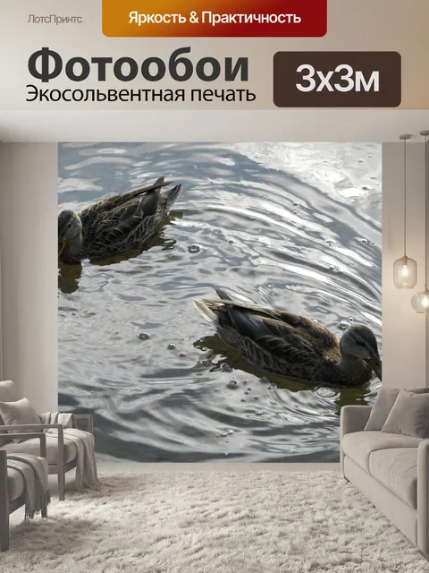 Фотообои Дикие утки