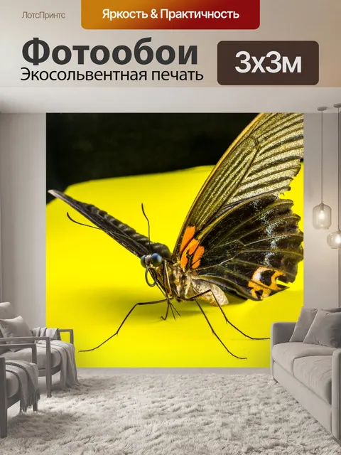 Фотообои Бабочка