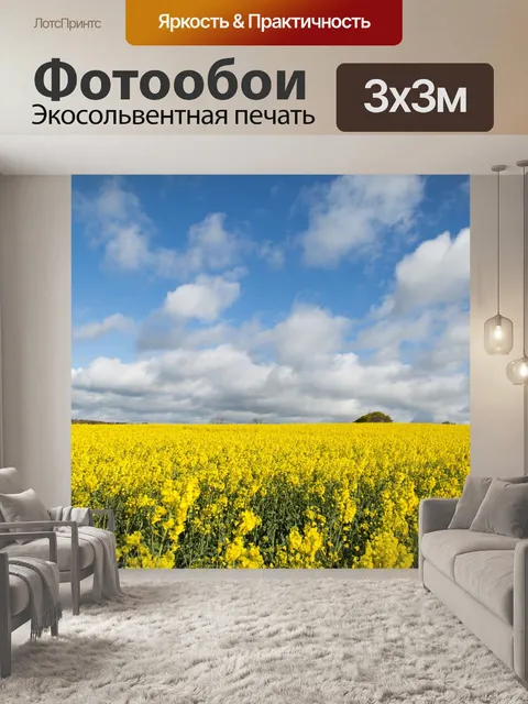 Фотообои Область желтого рапса