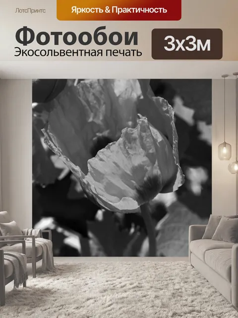 Фотообои черно-белое изображение мака