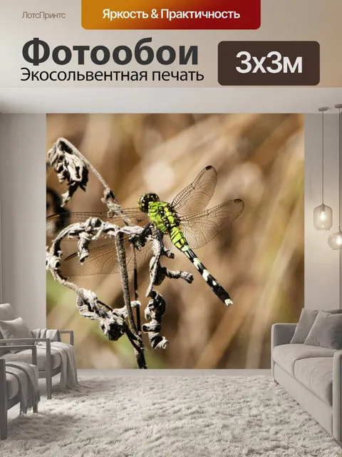 Фотообои Восточный Пондовик Стрекоза