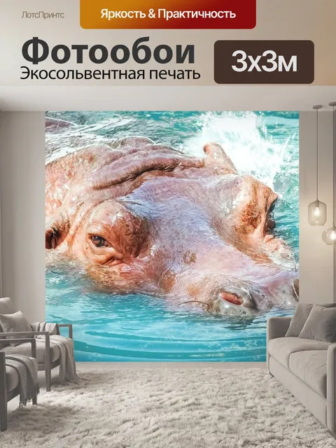 Фотообои Бегемот