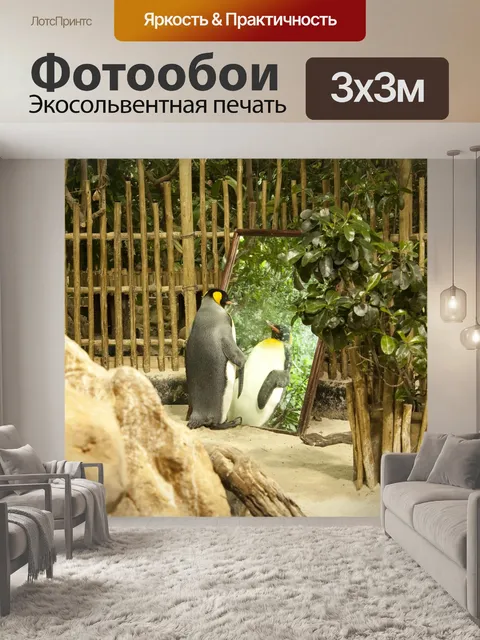 Фотообои Пингвин