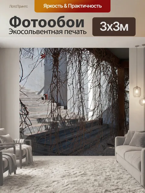 Фотообои Шаги за сухими лозами