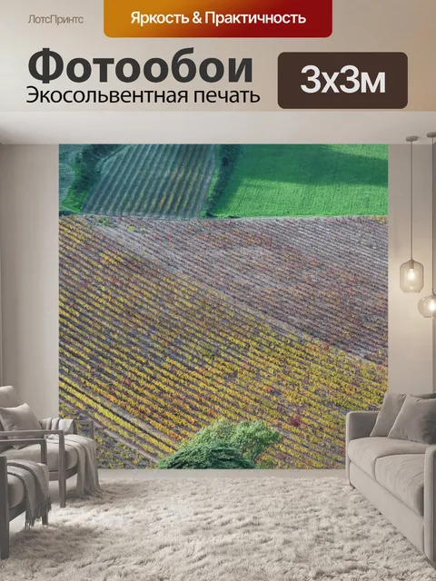 Фотообои Поля