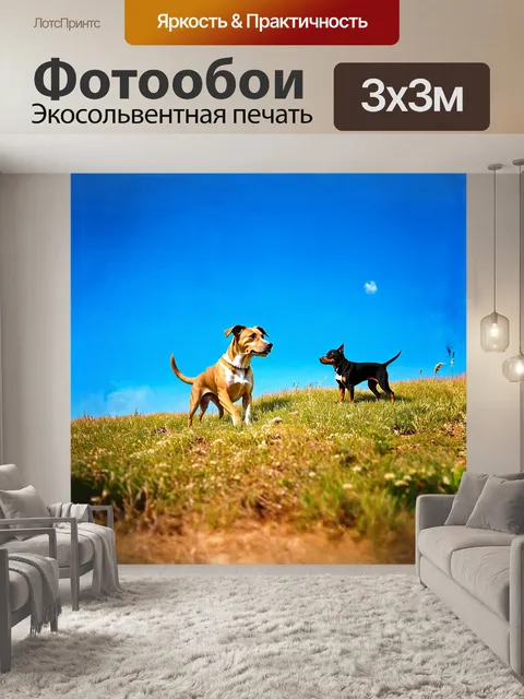 Фотообои под ярким голубым небом