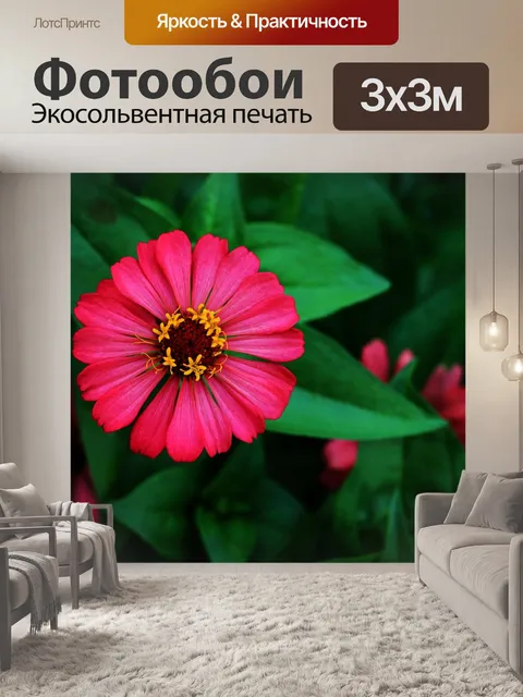 Фотообои Цветок