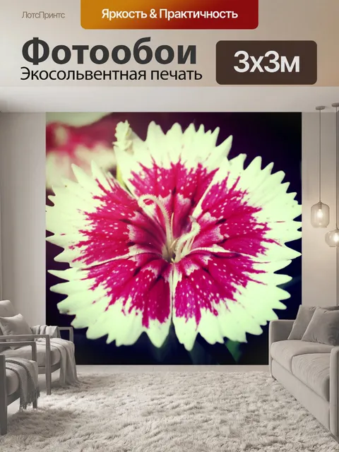 Фотообои Красивый цветок