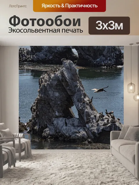 Фотообои Пеликан, летящий над скалами и океаном