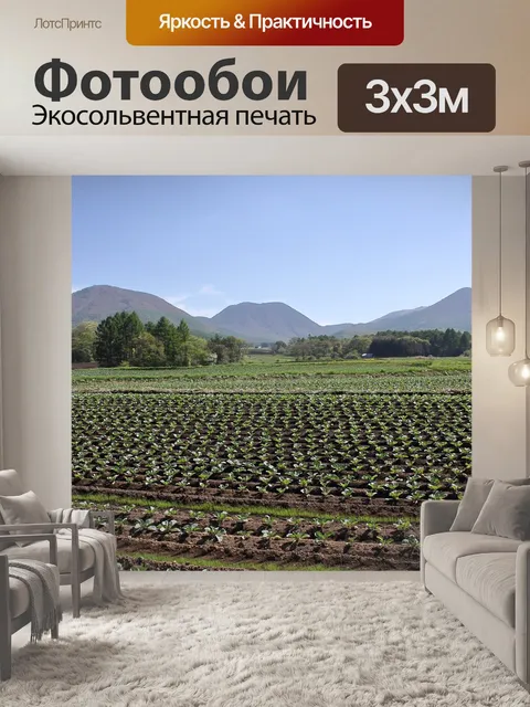 Фотообои Цумагои