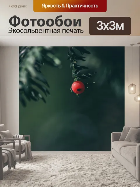 Фотообои Цветовой контраст