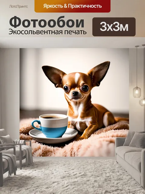 Фотообои чихуахуа с большими ушами, сидящий на мягком пледе рядом с чашкой кофе