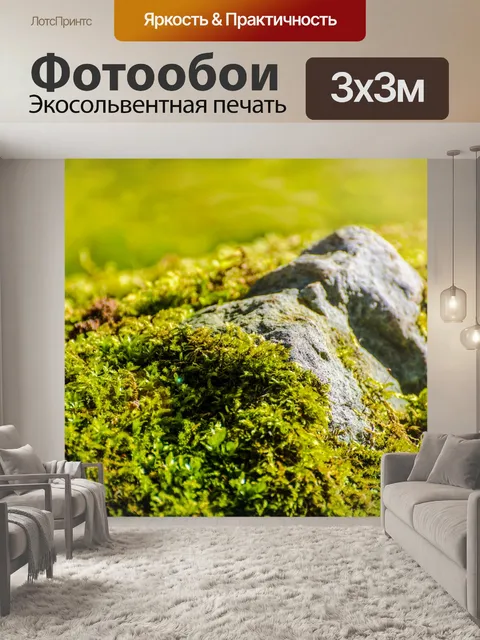 Фотообои мох