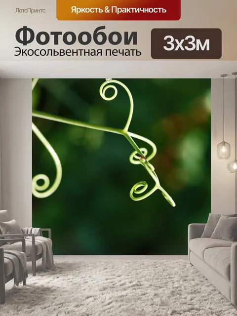 Фотообои нежные зеленые усики на зеленом
