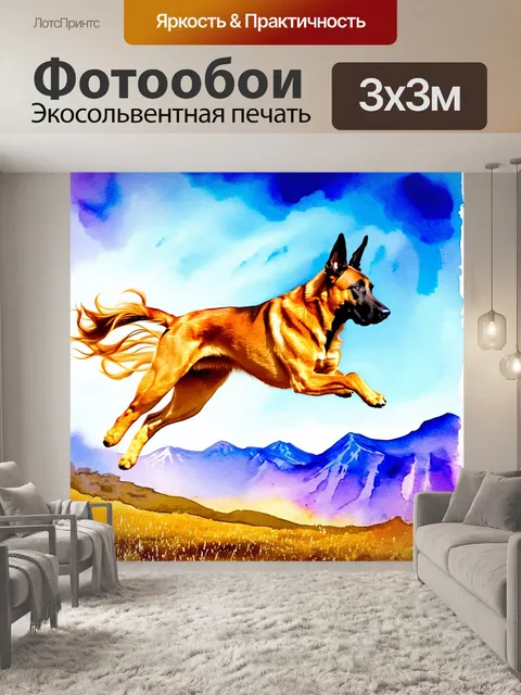 Фотообои в полет падает малинуа, его шерсть развевается на ветру, отражая солнечные лучи