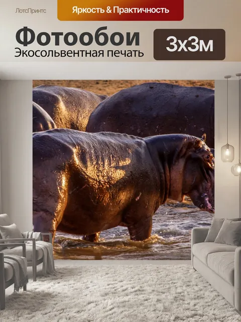 Фотообои Бегемот