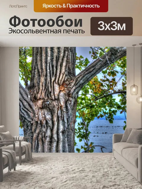 Фотообои ствол дерева