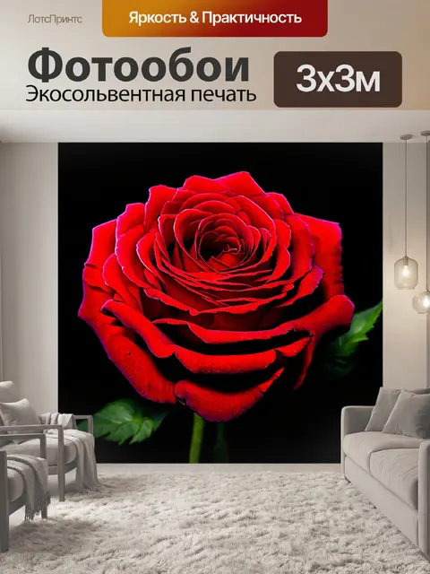 Фотообои розы в стиле готический, с изображением роз с начертаниями и узорами на лепестках