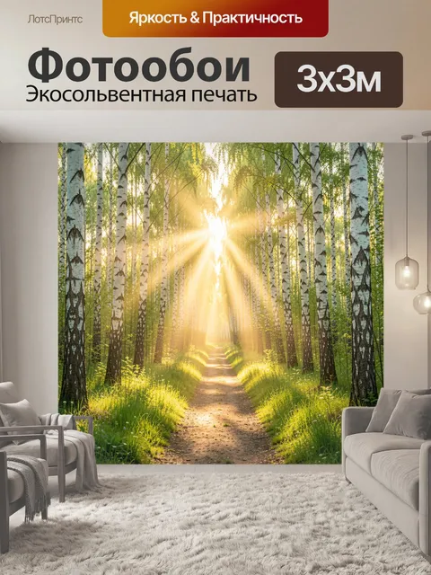 Фотообои Березовая аллея в солнечных лучах