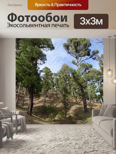 Фотообои Сосна