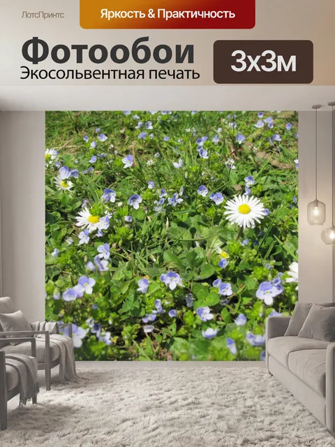 Фотообои Дикие Forget-Me-Not