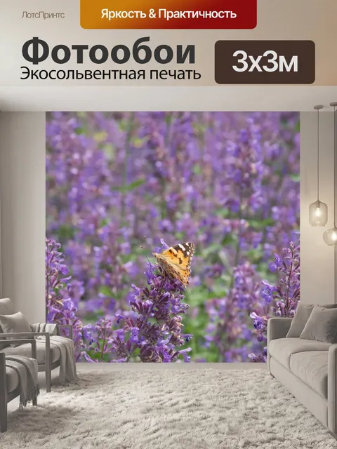 Фотообои Бабочка