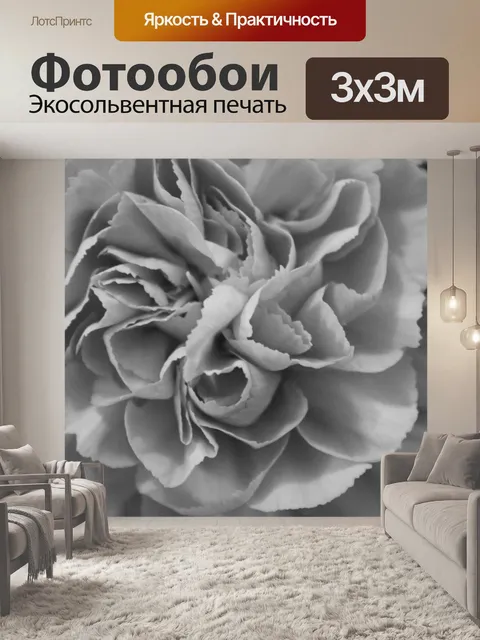 Фотообои Черные и белые вьющиеся лепестки